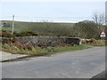 Bridge over the River Fowey