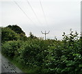 Trident-shaped electricity pole near Pentre Lane