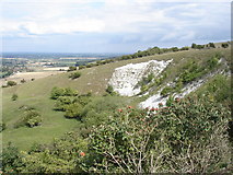 TQ4211 : Chalk pit on the north side of Malling Hill by Ian Cunliffe