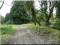 Bridleway climbing northern slope of South Downs