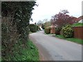 The main street of Woodbury Salterton