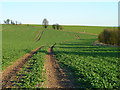 SU5227 : Farmland, Avington by Andrew Smith