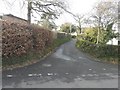 Lane leading to Coed-y-Gelli, Llanarth