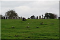 Graves at Eccleshall Road Cemetery