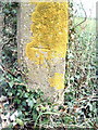 Benchmark on concrete gatepost at Benson Lane end of Marsh Lane