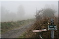 Public bridleway on Polcrebo Downs