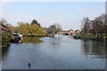 View from the Wharf