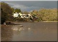 Mill pool, Stoke Gabriel