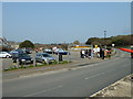 Late March at Freshwater Bay (c)