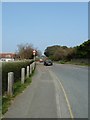 Late March at Freshwater Bay (e)