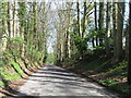 Green Lane, north of North Baddesley