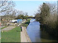 Chesterfield Canal at Misterton