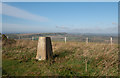 TQ5403 : Trig point of Wilmington Hill by Trevor Littlewood