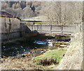 Bridge to Blaenrhondda Park