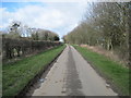 Lane  Going  Northwest  from  Watton