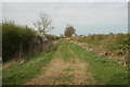 Blue Stone Bottom Lane