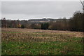 Stubble field by Bells Farm Lane