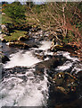 Afon Crychdduwi from footbridge