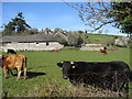 Littlehempston Farm Buildings