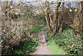 Footbridge, Hollington Stream