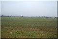 SO3873 : Farmland near Buckton by N Chadwick