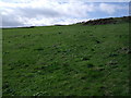 NZ9209 : Farmland, Beacon Hill by JThomas