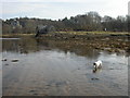 Ardtornish House from head of Loch Aline