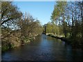 River Frome from Frampton Bridge