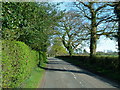 Davenport Lane - south east, Mobberley