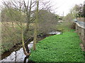 The Clywedog near Pentrebychan