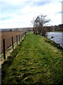 NO7296 : Riverside pathway by Stanley Howe