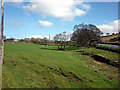 Pasture by the A675 south of Abbey Village