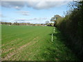 Footpath along the field edge