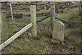 SD5450 : Boundary Stone and fence junction on Grizedale Fell by Tom Richardson