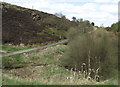 Path leading to Hazelhurst Wood