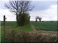 Footpath to Sandy Lane