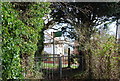 Footpath to Wishing Tree Rd