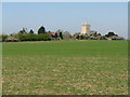 TL4446 : Thriplow church from across the fields by John Sutton