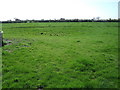 Farmland, Gribthorpe