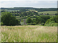 View of Tolpuddle church