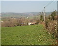 Field bordering the lane from the A48 to Llandevaud