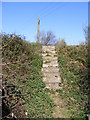 TM3053 : Steps of the footpath to the A12 Wickham Market Bypass by Geographer