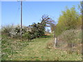 Footpath to the B1438 Main Road