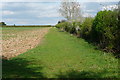 Farmland at Egypt