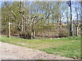 Footpath to the A12 Wickham Market Bypass