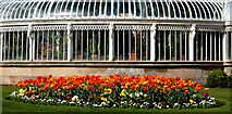 J3372 : Flower bed, Botanic Gardens, Belfast (7) by Albert Bridge