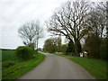 Gulham Road near Top Farm