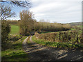 Track to a farmhouse