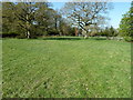 Pasture near Stonepit Lodge