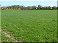 Houses at the southern edge of Billingshurst